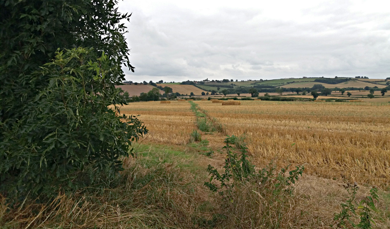 Waypoint 19a